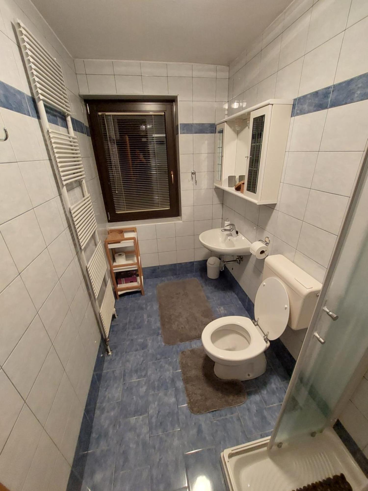Apartmaji Vesna Bohinj Room photo